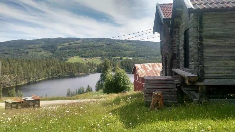Norway, How does your Garden Grow?