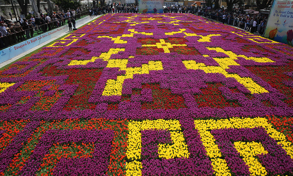 Geometric Tulip Carpet