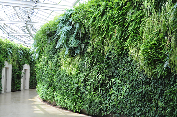 Longwood Gardens Living Wall