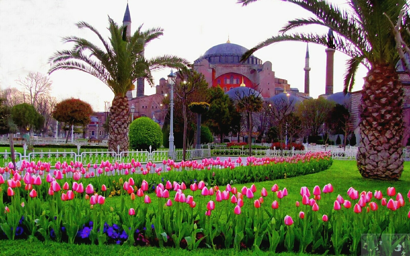 Istanbul Skyline with Tulips
